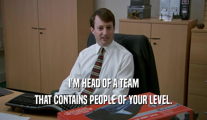 I'M HEAD OF A TEAM THAT CONTAINS PEOPLE OF YOUR LEVEL. 