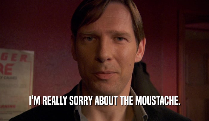 I'M REALLY SORRY ABOUT THE MOUSTACHE.  