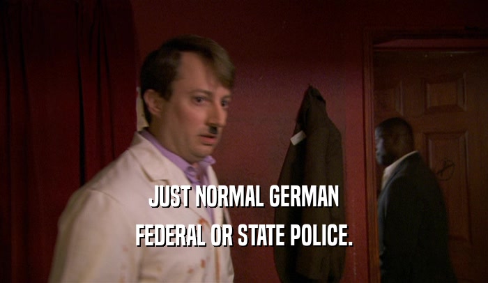 JUST NORMAL GERMAN FEDERAL OR STATE POLICE. 