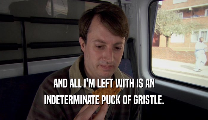 AND ALL I'M LEFT WITH IS AN INDETERMINATE PUCK OF GRISTLE. 