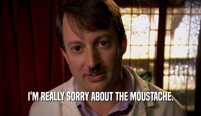 I'M REALLY SORRY ABOUT THE MOUSTACHE.  