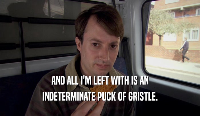 AND ALL I'M LEFT WITH IS AN INDETERMINATE PUCK OF GRISTLE. 
