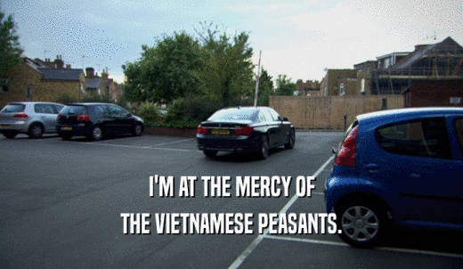 I'M AT THE MERCY OF THE VIETNAMESE PEASANTS. 