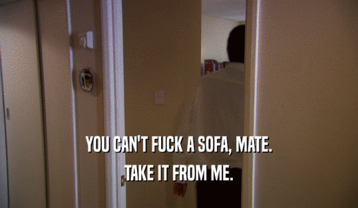 YOU CAN'T FUCK A SOFA, MATE. TAKE IT FROM ME. 