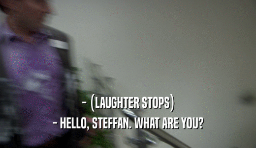 - (LAUGHTER STOPS) - HELLO, STEFFAN. WHAT ARE YOU? 