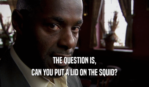 THE QUESTION IS, CAN YOU PUT A LID ON THE SQUID? 