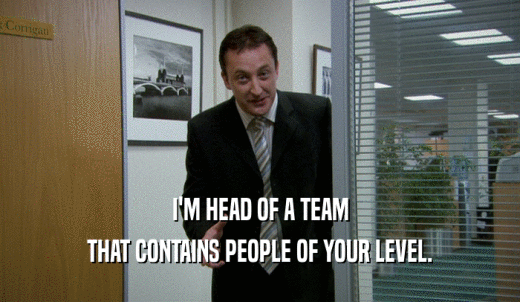 I'M HEAD OF A TEAM THAT CONTAINS PEOPLE OF YOUR LEVEL. 