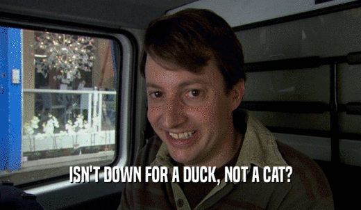 ISN'T DOWN FOR A DUCK, NOT A CAT?  