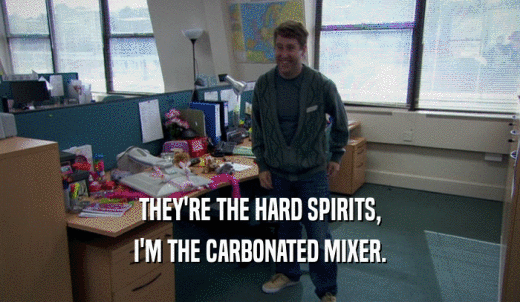 THEY'RE THE HARD SPIRITS, I'M THE CARBONATED MIXER. 