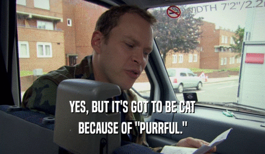YES, BUT IT'S GOT TO BE CAT BECAUSE OF 'PURRFUL.' 