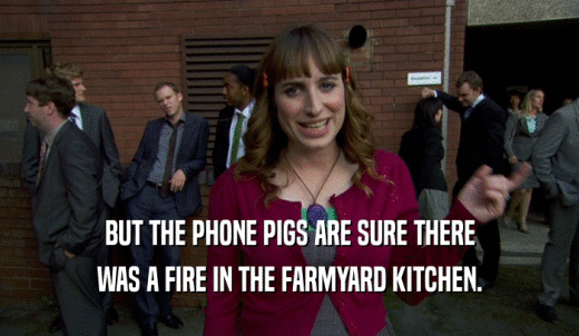 BUT THE PHONE PIGS ARE SURE THERE WAS A FIRE IN THE FARMYARD KITCHEN. 