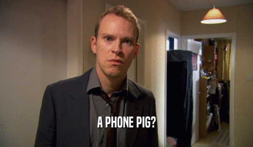 A PHONE PIG?  