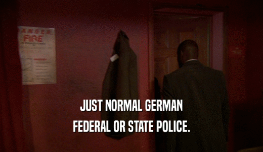 JUST NORMAL GERMAN FEDERAL OR STATE POLICE. 