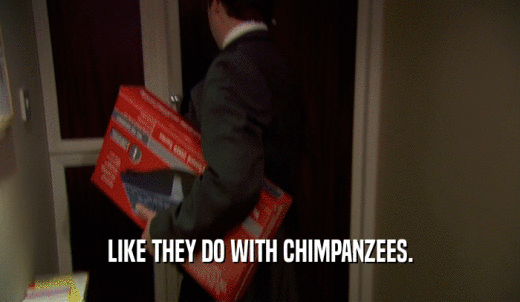 LIKE THEY DO WITH CHIMPANZEES.  