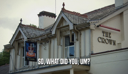 SO, WHAT DID YOU, UM?  