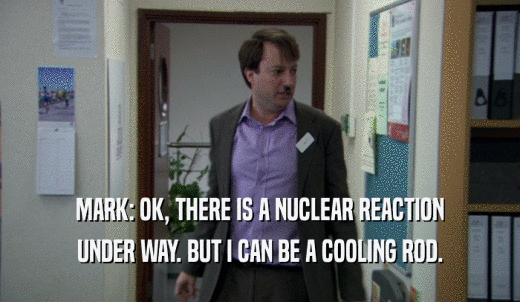MARK: OK, THERE IS A NUCLEAR REACTION UNDER WAY. BUT I CAN BE A COOLING ROD. 