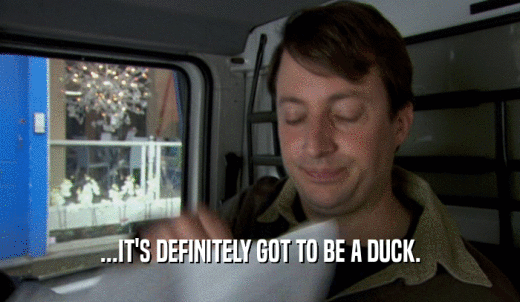 ...IT'S DEFINITELY GOT TO BE A DUCK.  