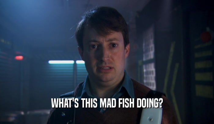 WHAT'S THIS MAD FISH DOING?  