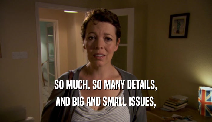 SO MUCH. SO MANY DETAILS, AND BIG AND SMALL ISSUES, 