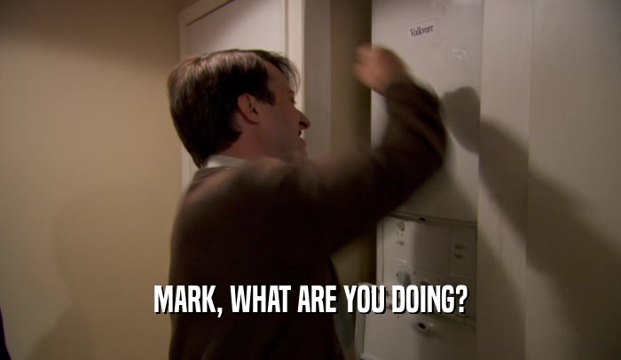 MARK, WHAT ARE YOU DOING?  