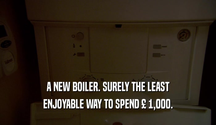 A NEW BOILER. SURELY THE LEAST ENJOYABLE WAY TO SPEND 