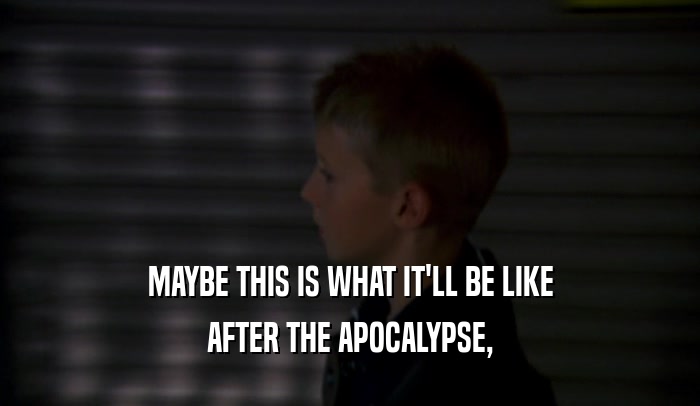 MAYBE THIS IS WHAT IT'LL BE LIKE AFTER THE APOCALYPSE, 