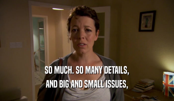 SO MUCH. SO MANY DETAILS, AND BIG AND SMALL ISSUES, 