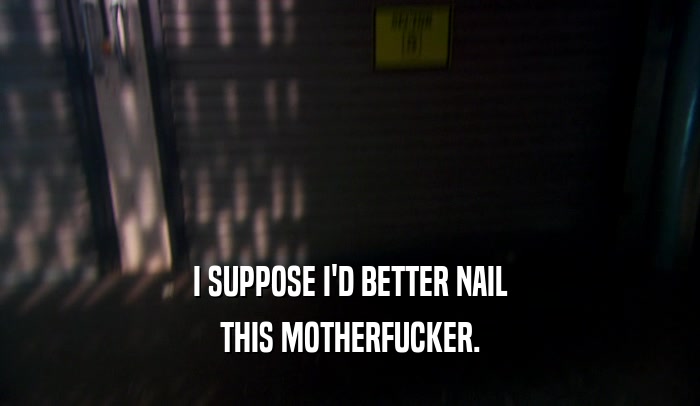 I SUPPOSE I'D BETTER NAIL THIS MOTHERFUCKER. 