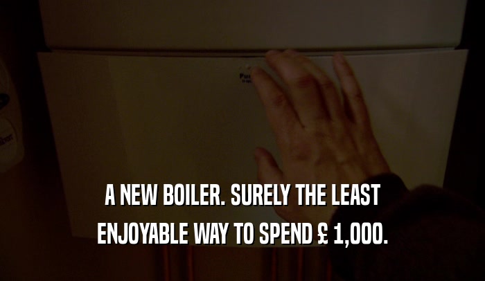 A NEW BOILER. SURELY THE LEAST ENJOYABLE WAY TO SPEND 