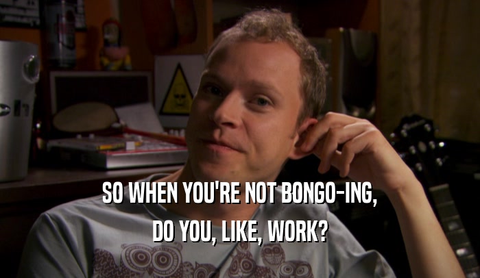 SO WHEN YOU'RE NOT BONGO-ING, DO YOU, LIKE, WORK? 