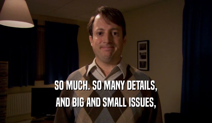 SO MUCH. SO MANY DETAILS, AND BIG AND SMALL ISSUES, 