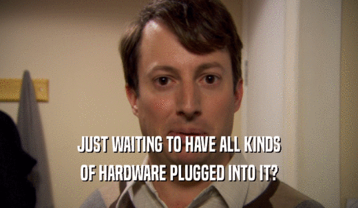 JUST WAITING TO HAVE ALL KINDS OF HARDWARE PLUGGED INTO IT? 