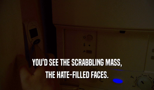 YOU'D SEE THE SCRABBLING MASS, THE HATE-FILLED FACES. 