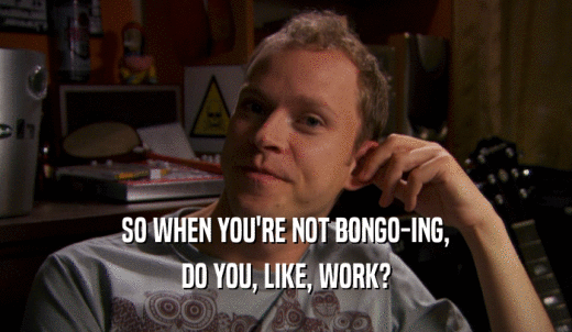 SO WHEN YOU'RE NOT BONGO-ING, DO YOU, LIKE, WORK? 