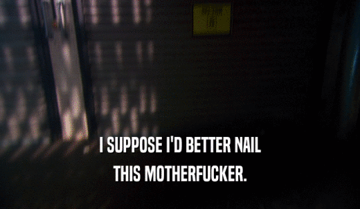 I SUPPOSE I'D BETTER NAIL THIS MOTHERFUCKER. 