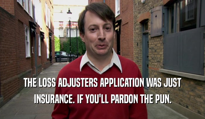 THE LOSS ADJUSTERS APPLICATION WAS JUST INSURANCE. IF YOU'LL PARDON THE PUN. 