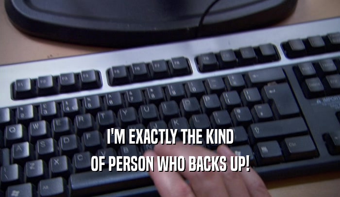 I'M EXACTLY THE KIND OF PERSON WHO BACKS UP! 