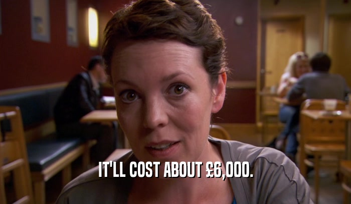 IT'LL COST ABOUT 