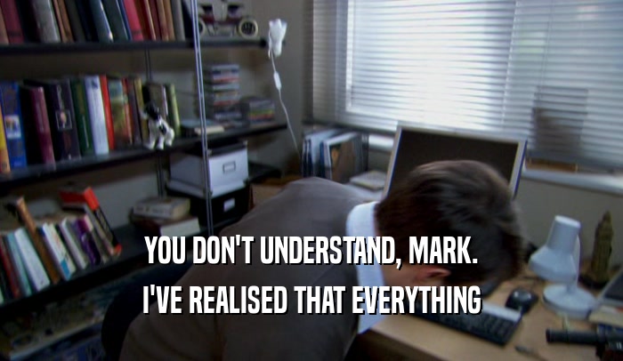 YOU DON'T UNDERSTAND, MARK. I'VE REALISED THAT EVERYTHING 