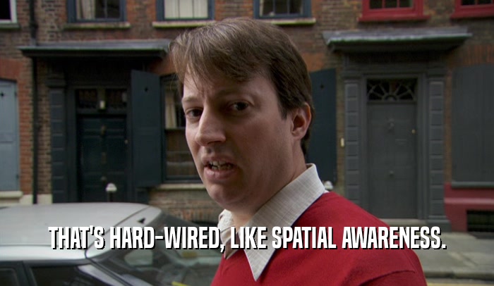 THAT'S HARD-WIRED, LIKE SPATIAL AWARENESS.  