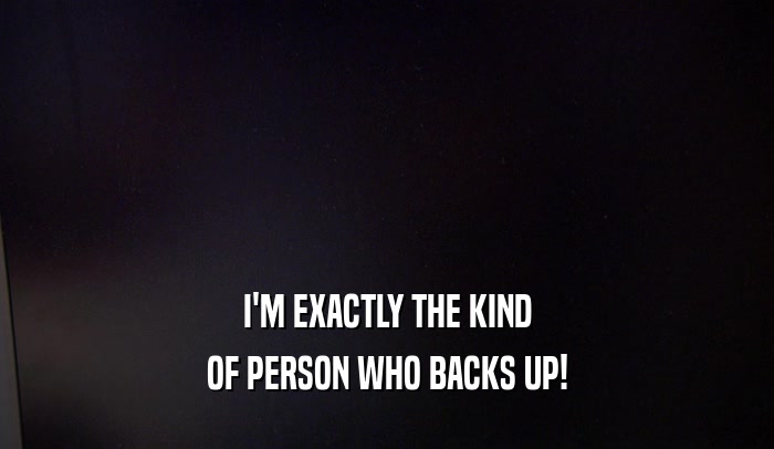 I'M EXACTLY THE KIND OF PERSON WHO BACKS UP! 