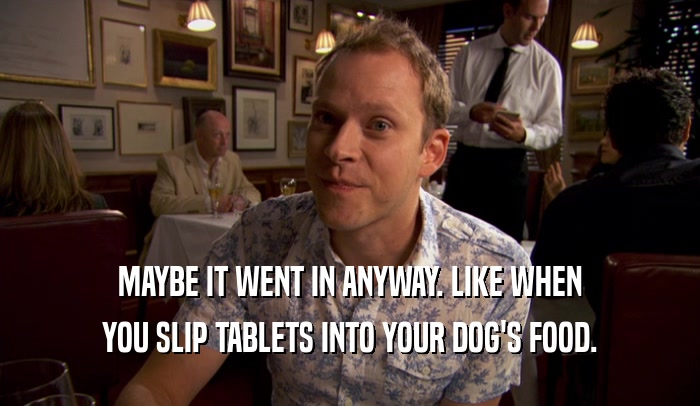 MAYBE IT WENT IN ANYWAY. LIKE WHEN YOU SLIP TABLETS INTO YOUR DOG'S FOOD. 