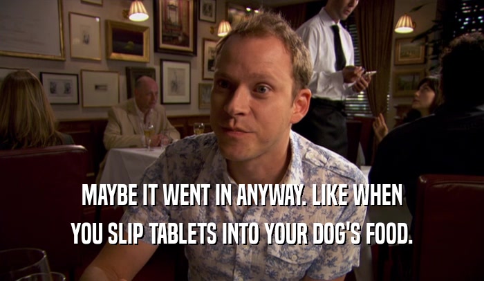 MAYBE IT WENT IN ANYWAY. LIKE WHEN YOU SLIP TABLETS INTO YOUR DOG'S FOOD. 