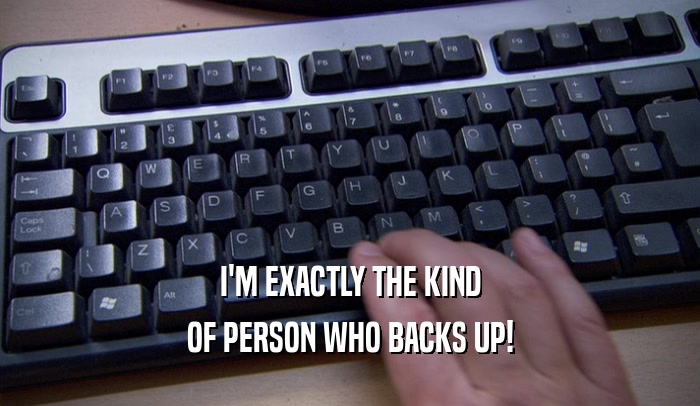 I'M EXACTLY THE KIND OF PERSON WHO BACKS UP! 