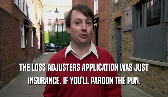 THE LOSS ADJUSTERS APPLICATION WAS JUST INSURANCE. IF YOU'LL PARDON THE PUN. 