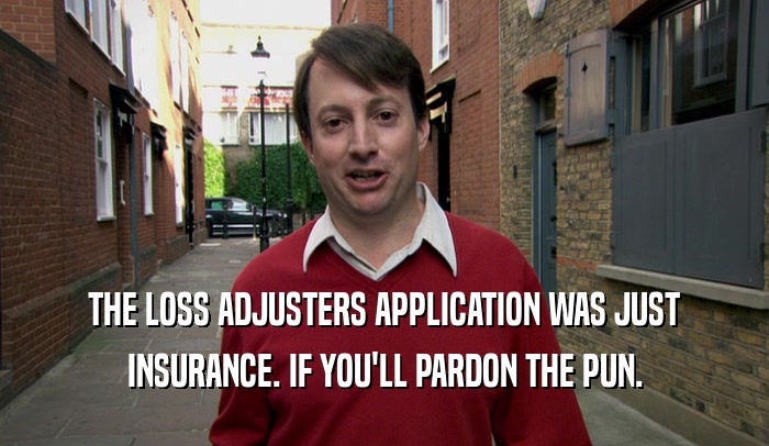 THE LOSS ADJUSTERS APPLICATION WAS JUST INSURANCE. IF YOU'LL PARDON THE PUN. 