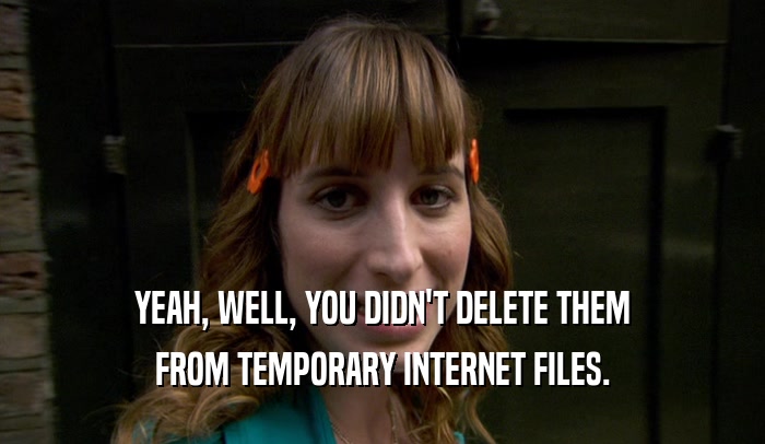 YEAH, WELL, YOU DIDN'T DELETE THEM FROM TEMPORARY INTERNET FILES. 