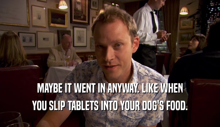 MAYBE IT WENT IN ANYWAY. LIKE WHEN YOU SLIP TABLETS INTO YOUR DOG'S FOOD. 