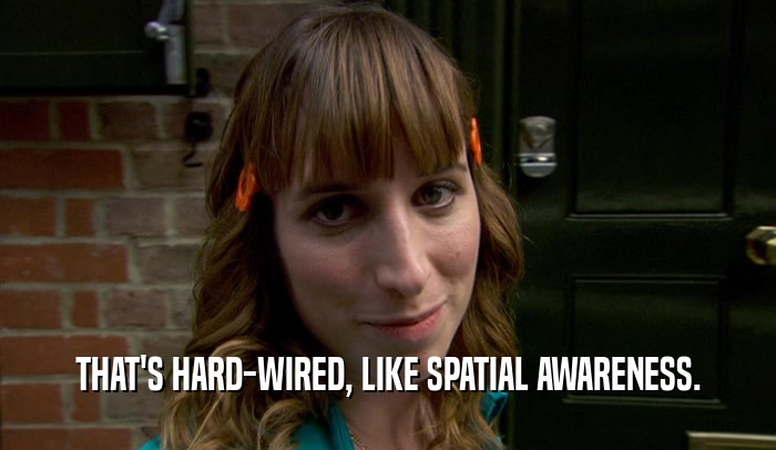 THAT'S HARD-WIRED, LIKE SPATIAL AWARENESS.  