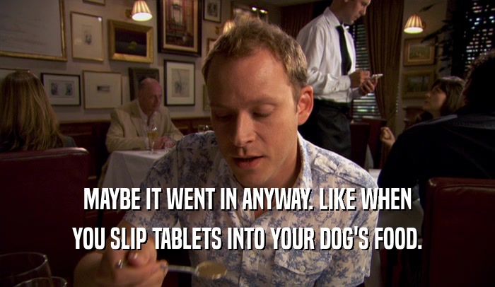 MAYBE IT WENT IN ANYWAY. LIKE WHEN YOU SLIP TABLETS INTO YOUR DOG'S FOOD. 